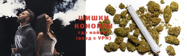 прущие грибы Алзамай