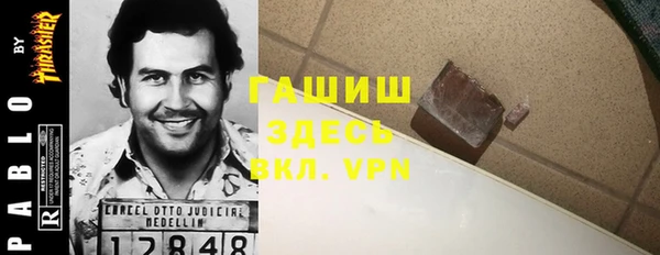 прущие грибы Алзамай