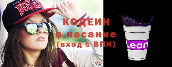 прущие грибы Алзамай