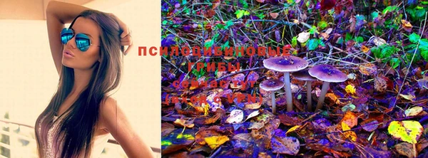 эйфоретик Алексин