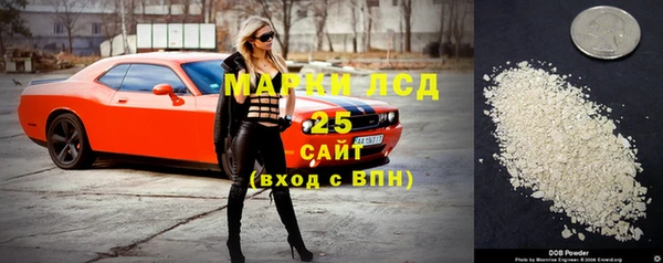 прущие грибы Алзамай
