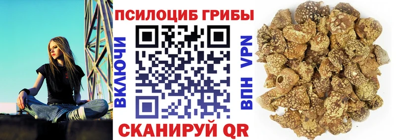 Галлюциногенные грибы ЛСД  купить закладку  Ардатов 